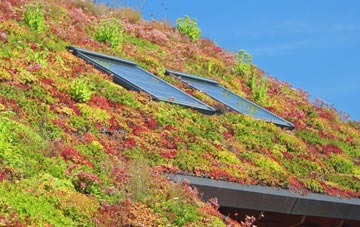 Fairbourne living roof systems